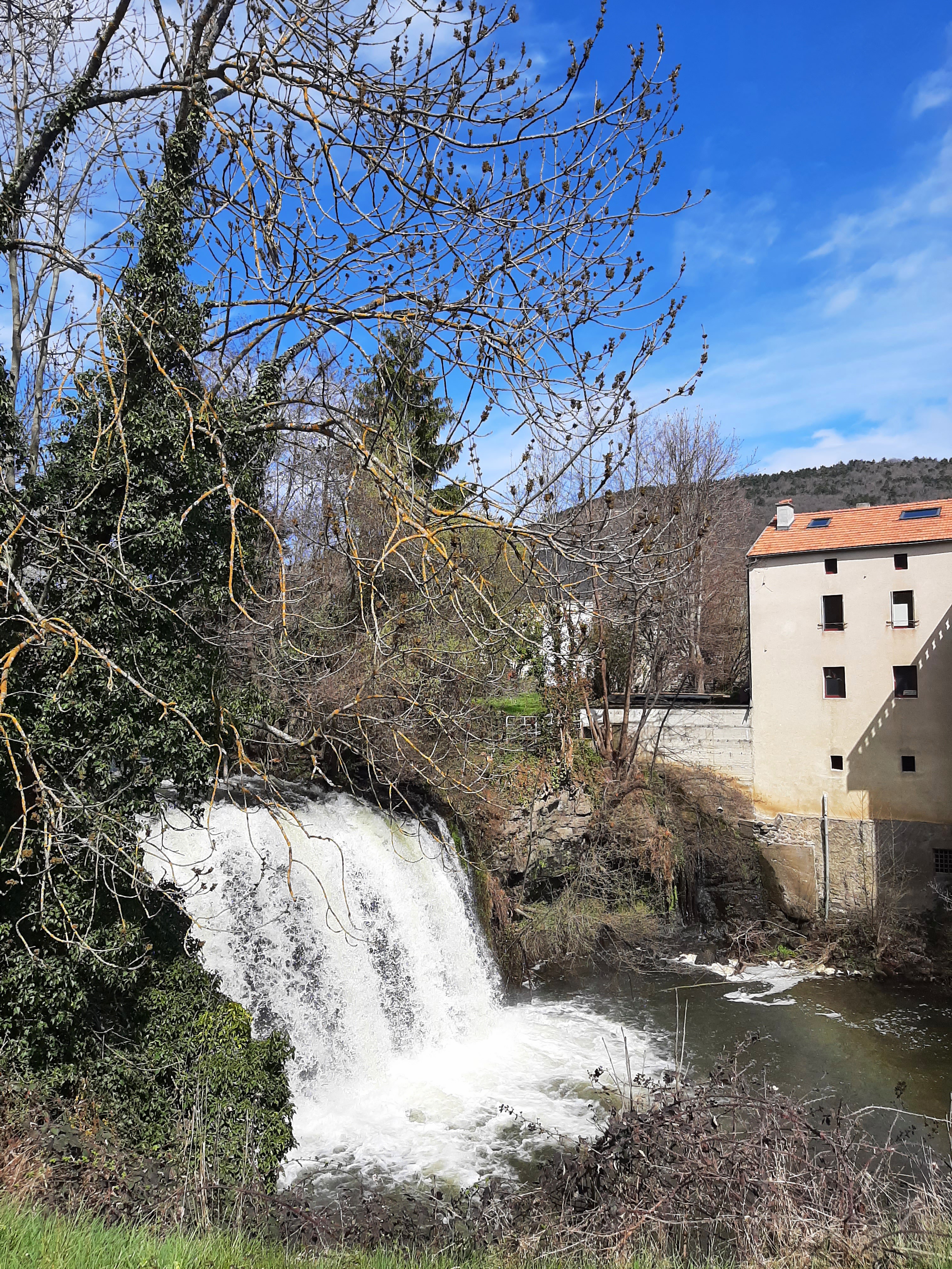 Photo n° 1 de l'avis de Marine.a fait le 13/04/2023 à 17:47
