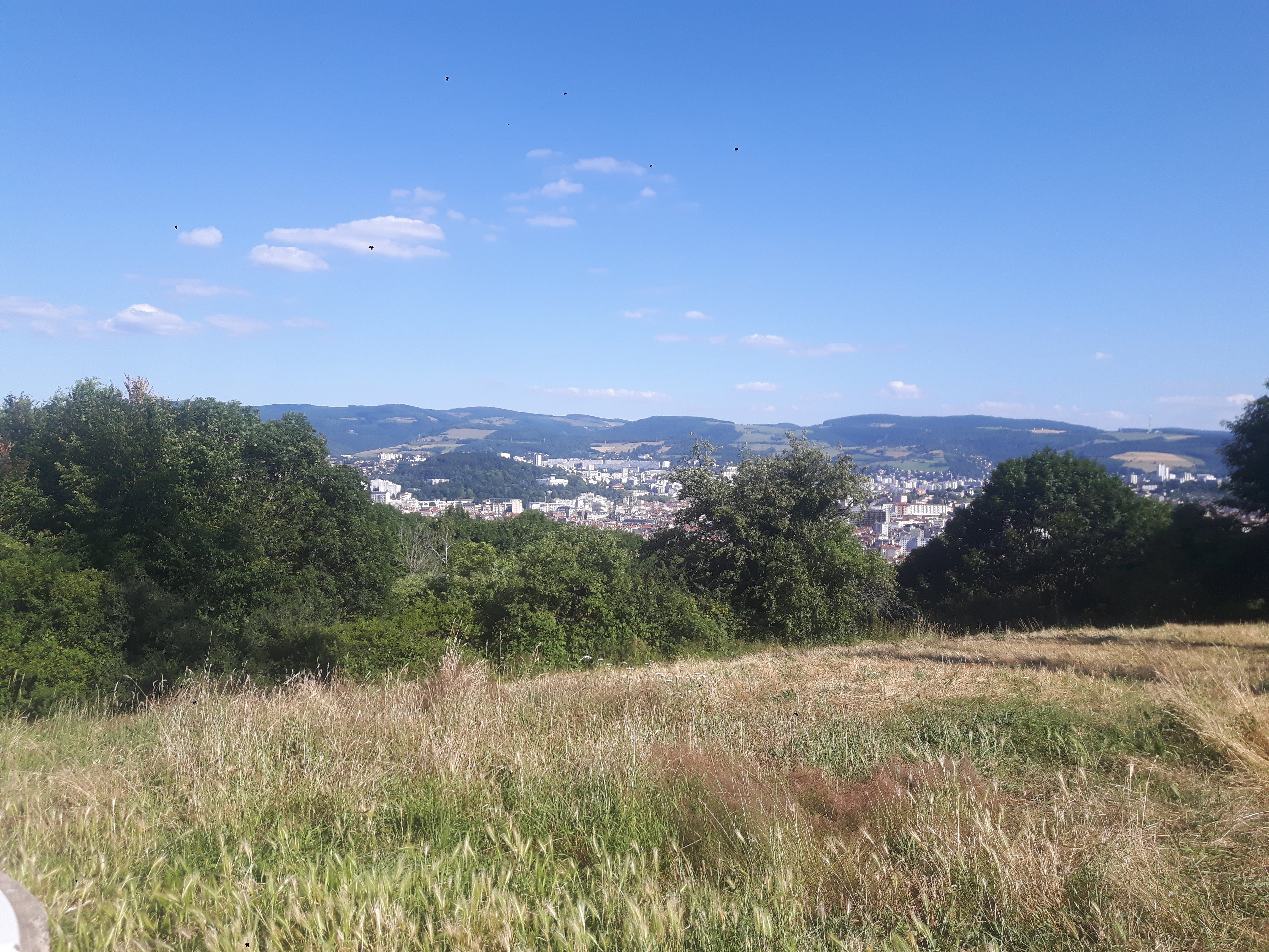 Photo n° 3 de l'avis de Maraval.o fait le 11/07/2018 à 20:47