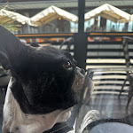 Photo n°37 de l'avis de Francesca.a fait le 30/04/2024 à 12:23 sur le  Il Pizzo di Broccolo à Anzio