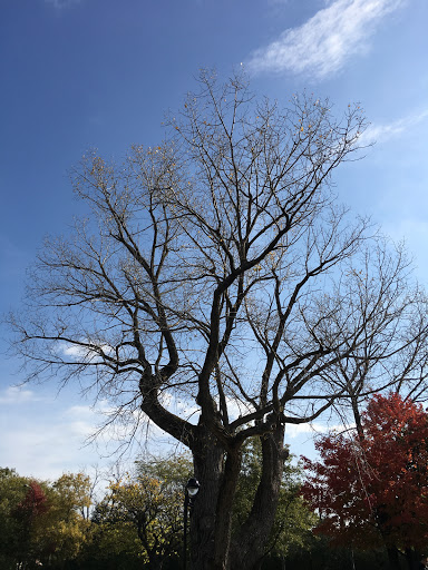 Concert Hall «Fraze Pavilion», reviews and photos, 424E Lincoln Park Blvd, Kettering, OH 45429, USA