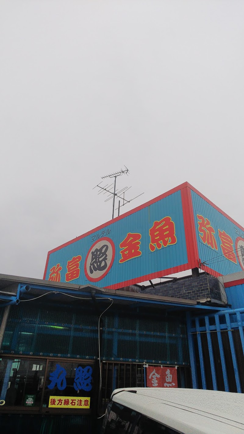 丸照養魚場 愛知県弥富市鯏浦町車新田 金魚店 ペット グルコミ