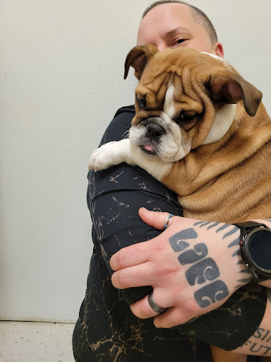 Pet Store «Yuppy Puppy Pet Shop», reviews and photos, 292 Frantz Rd, Stroudsburg, PA 18360, USA