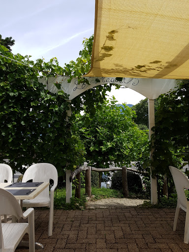 site_photo4