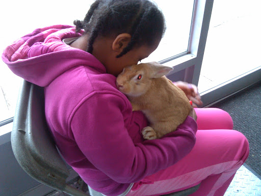 Pet Supply Store «Pet NV», reviews and photos, 71 Central Ave, Brooklyn, NY 11206, USA