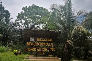 Taman Negara Endau Rompin Selai image