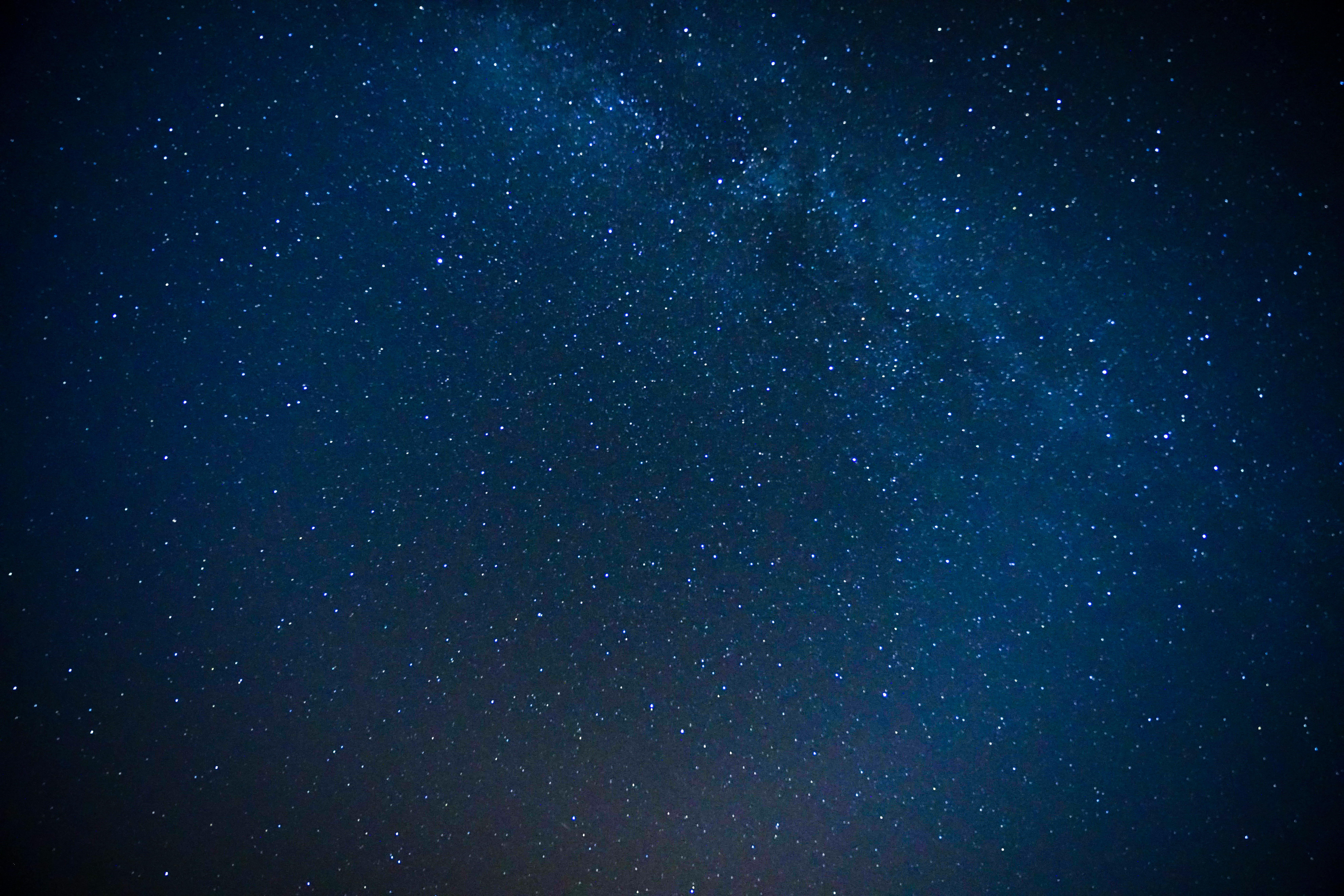 Photo n° 6 de l'avis de Franck.a fait le 17/08/2022 à 04:53