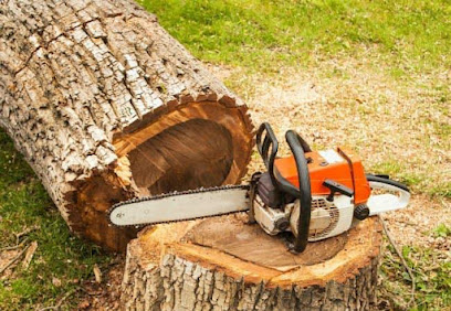 MAD Hatter Tree Services - Stump Grinding, Trimming & Arborist