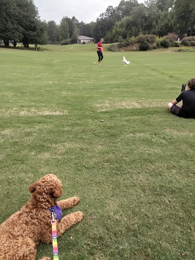 Golf Course «Pebble Creek Golf Course», reviews and photos, 101 Pebble Creek Dr, Taylors, SC 29687, USA