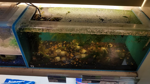 Pet Supply Store «PetSmart», reviews and photos, 2020 SW Westport Dr, Topeka, KS 66604, USA