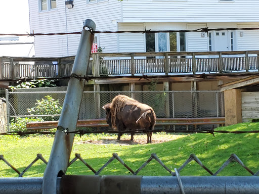 Wildlife Park «Wildlife & Ecology Center», reviews and photos, 249 Buckley Rd, Holtsville, NY 11742, USA