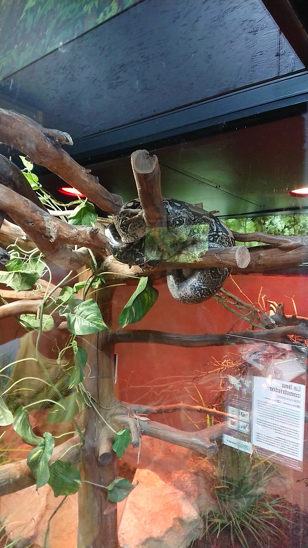 Photo n° 6 de l'avis de emelinetchems.e fait le 21/08/2018 à 06:53