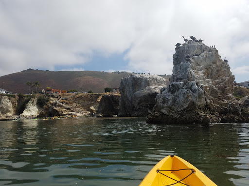 Park «Dinosaur Caves Park», reviews and photos, 2701 Price St, Pismo Beach, CA 93449, USA