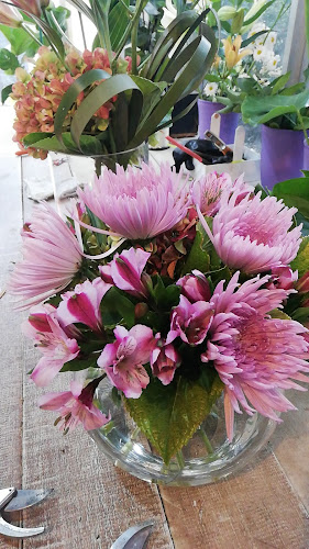 Green Shop - Floristería