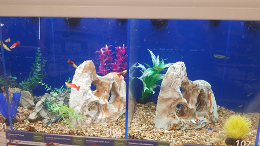 Pet Supply Store «PetSmart», reviews and photos, 1236 Greenbrier Pkwy, Chesapeake, VA 23320, USA