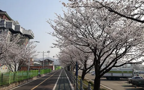 Younggang Sports Park image