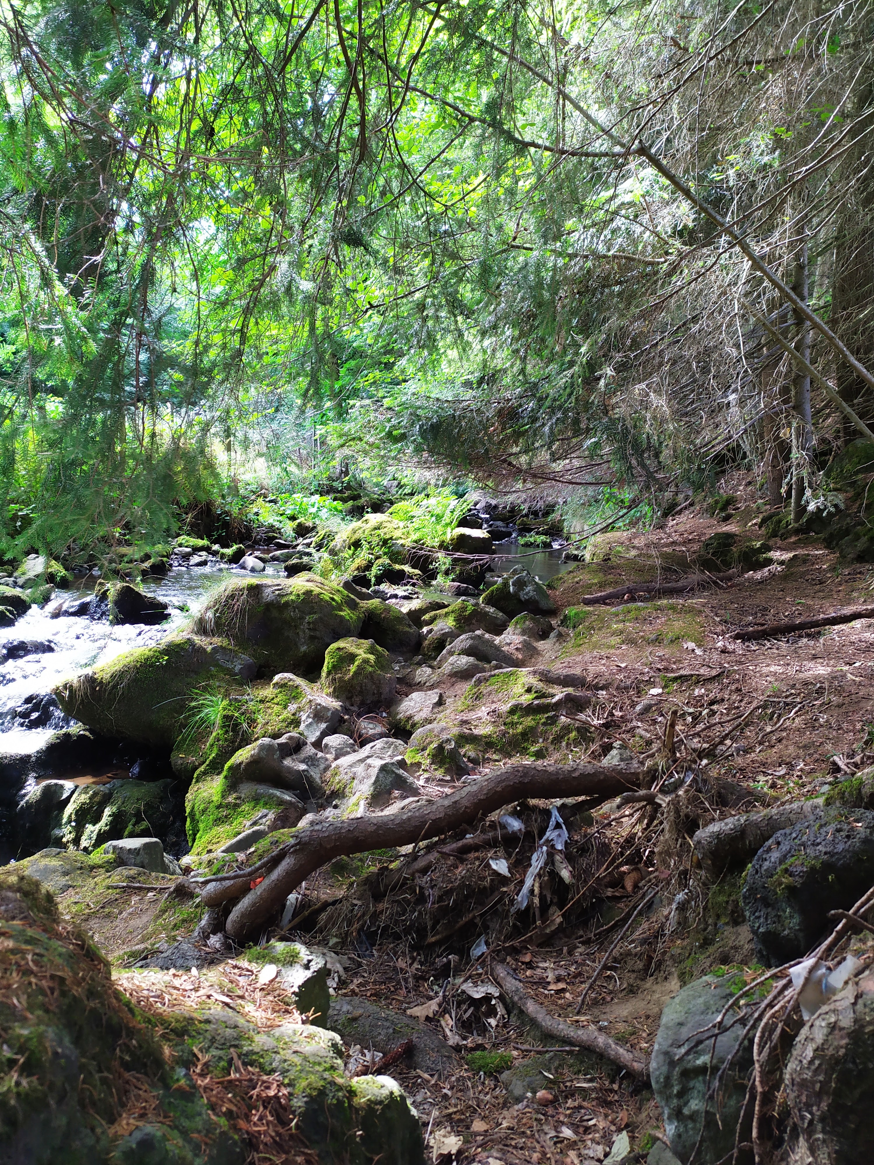 Photo n° 3 de l'avis de plancton.c fait le 21/08/2019 à 16:21