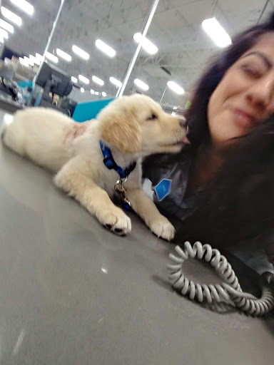 Pet Supply Store «PetSmart», reviews and photos, 26532 Towne Centre Dr, Foothill Ranch, CA 92610, USA