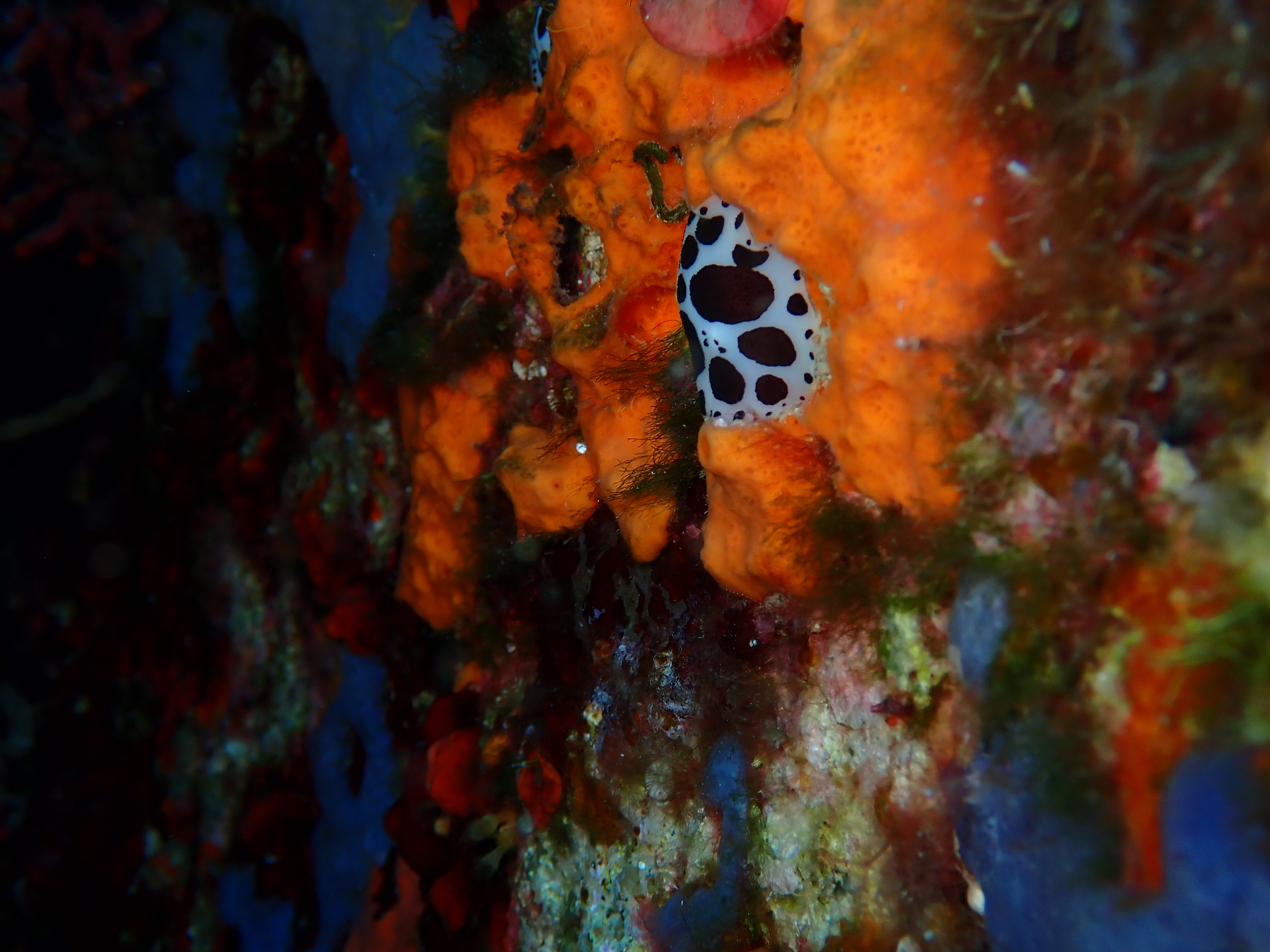 Photo n° 2 de l'avis de Murielle.E fait le 27/08/2021 à 10:24