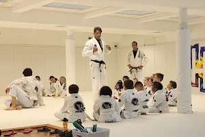 HOA Jiu Jitsu image