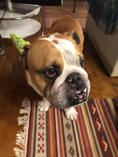 Aran Veterinaris Sl en Vielha