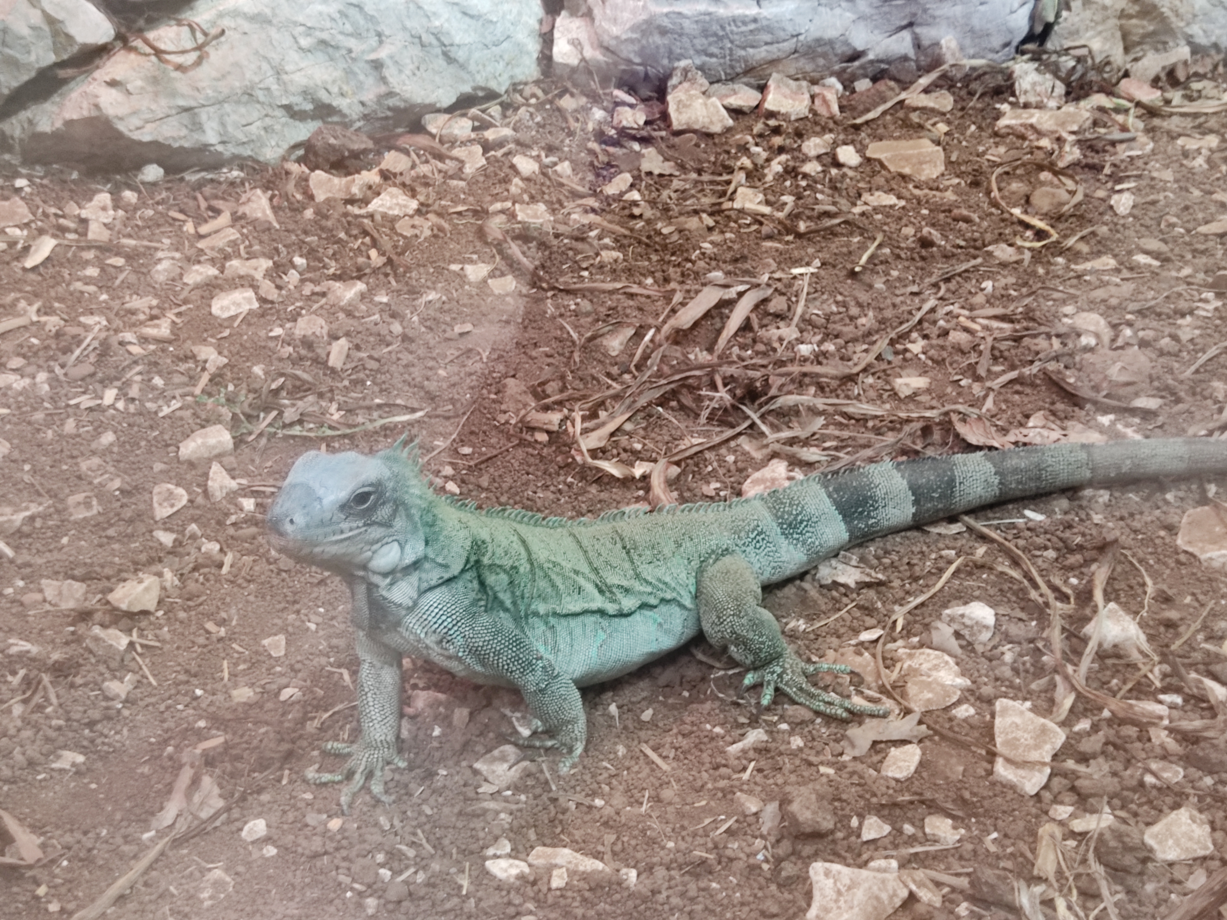 Photo n° 7 de l'avis de Florence.e fait le 01/05/2023 à 10:41