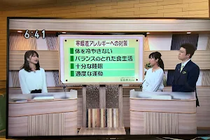 Jibiinkoka Shiomori Clinic image