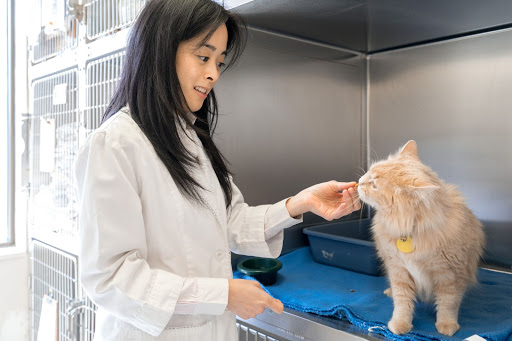 Milliken Bridlewood Vet Clinic | 宠物医院 image