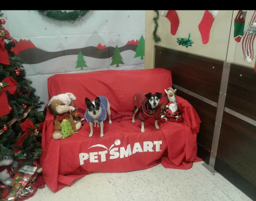 Pet Supply Store «PetSmart», reviews and photos, 3780 Riverchase Village #300, Hoover, AL 35244, USA