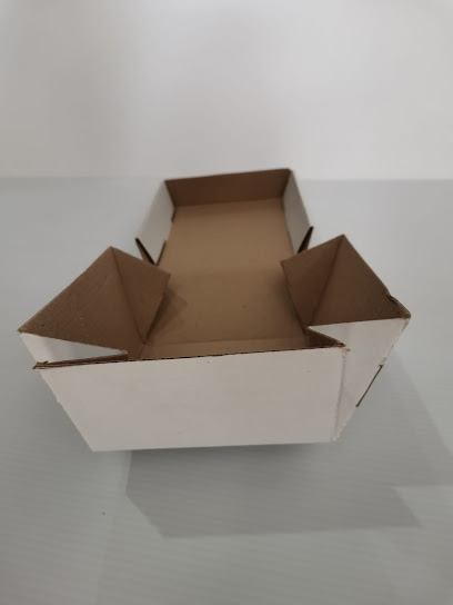 Origami Delivery BOXES