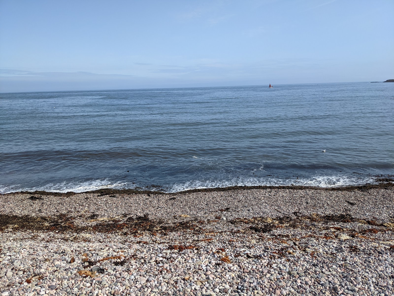 Photo of Stonehaven Beach - good pet friendly spot for vacation