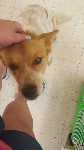 Pet Store «Petsway», reviews and photos, 1717 W Kearney St, Springfield, MO 65803, USA