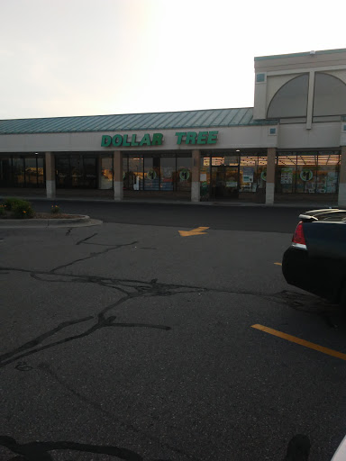 Dollar Store «Dollar Tree», reviews and photos, 3192 S Linden Rd b118, Flint, MI 48507, USA