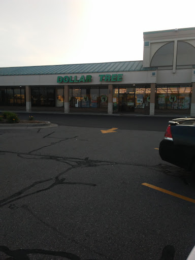 Dollar Store «Dollar Tree», reviews and photos, 3192 S Linden Rd b118, Flint, MI 48507, USA