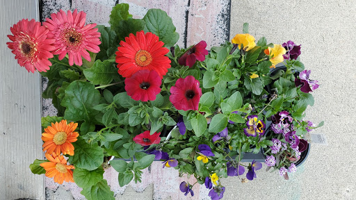 Garden Center «Salsbery Garden Center», reviews and photos, 6346 W Broadway, McCordsville, IN 46055, USA