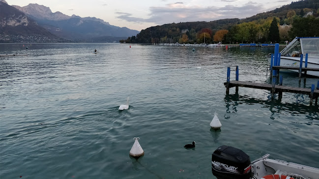 Commentaires et avis sur Le Ouistiti à Roulettes