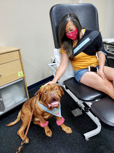 Elite Sports Physical Therapy image