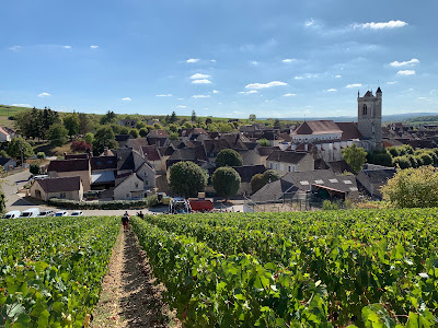 Domaine Benoit CANTIN à Irancy