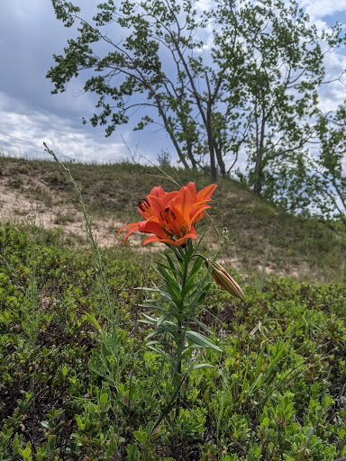 Tourist Attraction «Dune Climb», reviews and photos, 6748 S Dune Hwy, Glen Arbor, MI 49636, USA