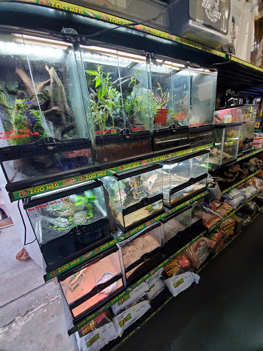 Pet Supply Store «Lotus Aquarium», reviews and photos, 14704 Hawthorne Blvd, Lawndale, CA 90260, USA