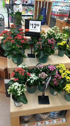 Grocery Store «Stop & Shop», reviews and photos, 141 Main St, Foxborough, MA 02035, USA