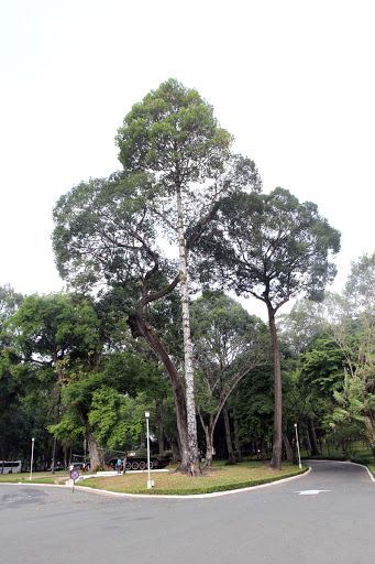 Independence Palace