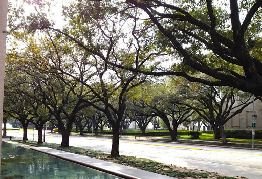 Museum «Holocaust Museum Houston», reviews and photos, 5401 Caroline St, Houston, TX 77004, USA