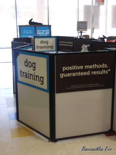 Pet Supply Store «Petco Animal Supplies», reviews and photos, 48 Watertower Plaza, Leominster, MA 01453, USA