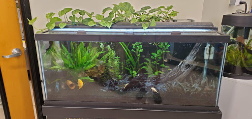 Pet Supply Store «PetSmart», reviews and photos, 70 Worcester-Providence Turnpike #240, Millbury, MA 01527, USA