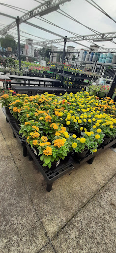 Department Store «Walmart Supercenter», reviews and photos, 36 Jerome Dr, Dover, DE 19901, USA