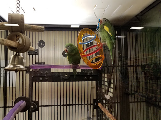 Pet Supply Store «PetSmart», reviews and photos, 5722 Fairmont Pkwy, Pasadena, TX 77505, USA