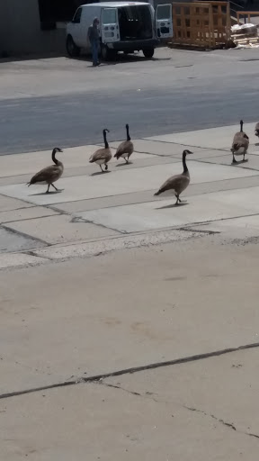 Amusement Center «PowerPlay Entertainment Center», reviews and photos, 13110 W 62nd Terrace, Shawnee, KS 66216, USA