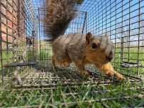 Paw Control Wildlife Solutions - Photo 5 - Car repair in , Cedar Rapids