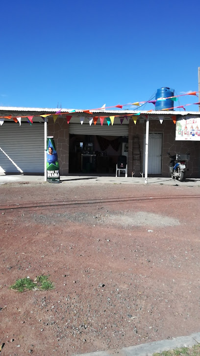 Restaurante EL PINGUIS 2 - carretera papalotla - chiautla s/n frente al, territorio indio, Méx., Mexico