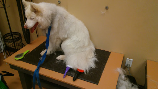 Pet Supply Store «Pet Pantry & Dog Wash», reviews and photos, 5148 Academy Blvd N, Colorado Springs, CO 80918, USA